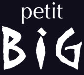 Logo_petitBIG_noir