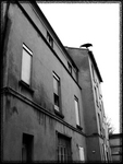 Cornoire